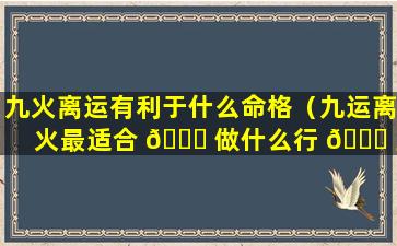 九火离运有利于什么命格（九运离火最适合 🍁 做什么行 🐘 业）